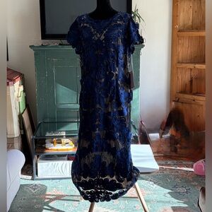 JS Collections Navy Lace Dress